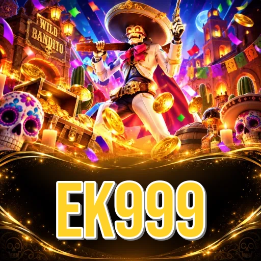 Developer Info ek999